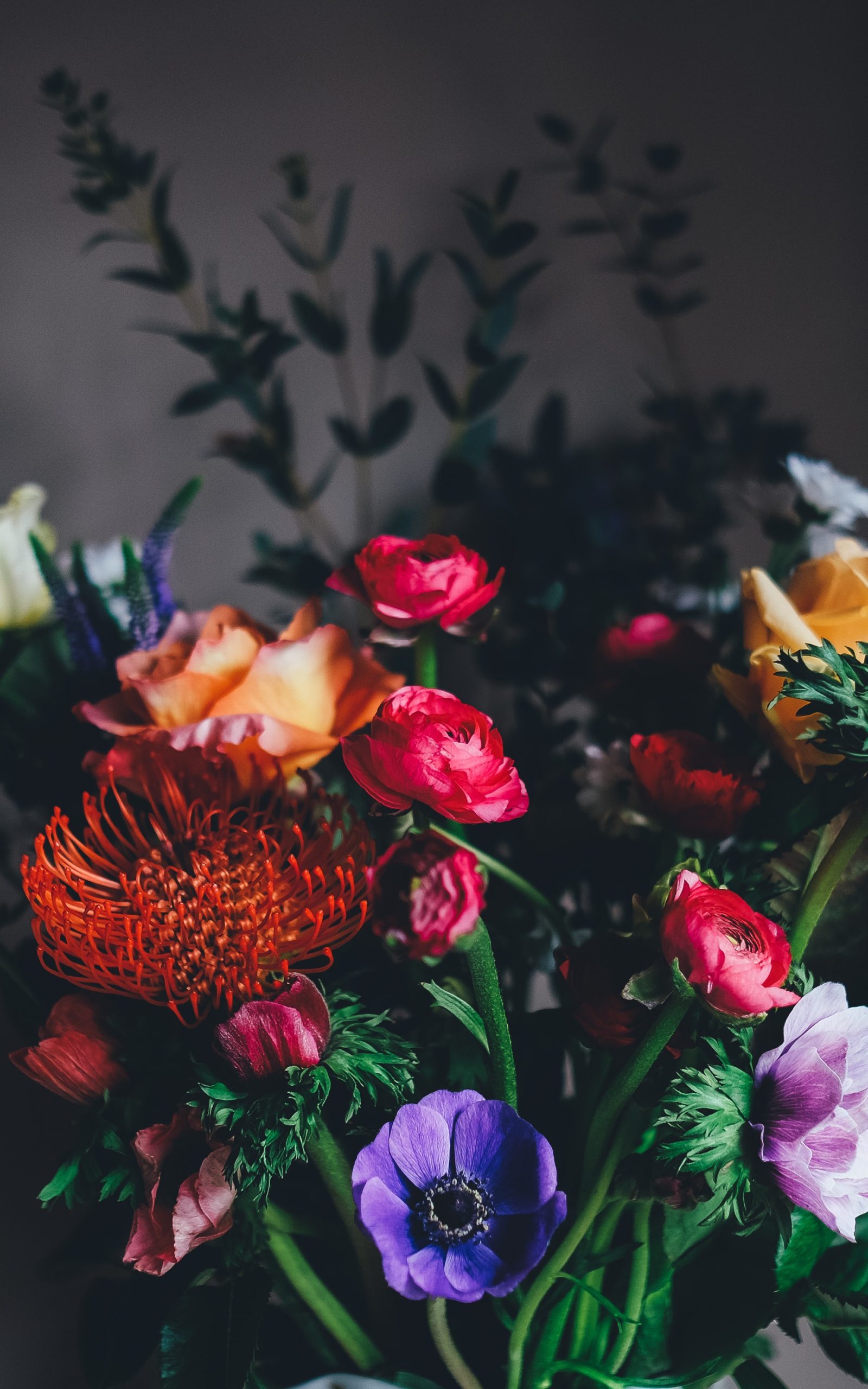 annie-spratt-WBpr_yH0Frg-unsplash